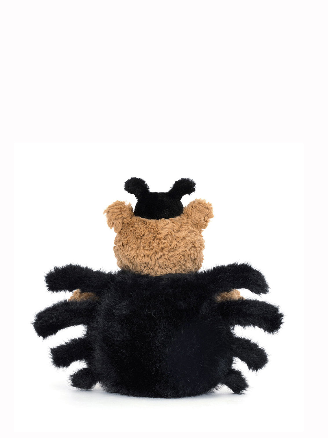 Toy spider with a teddy bear inside on a white background