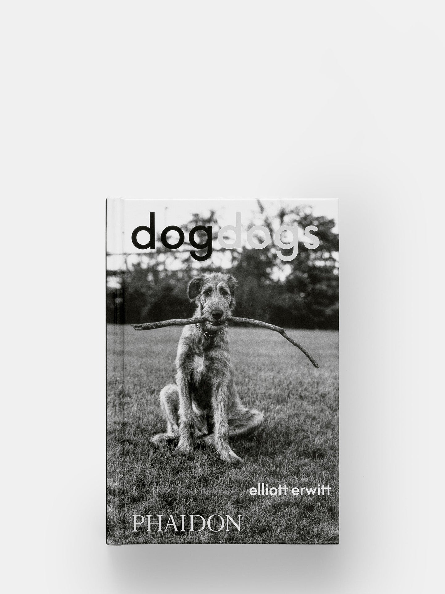 DogDogs