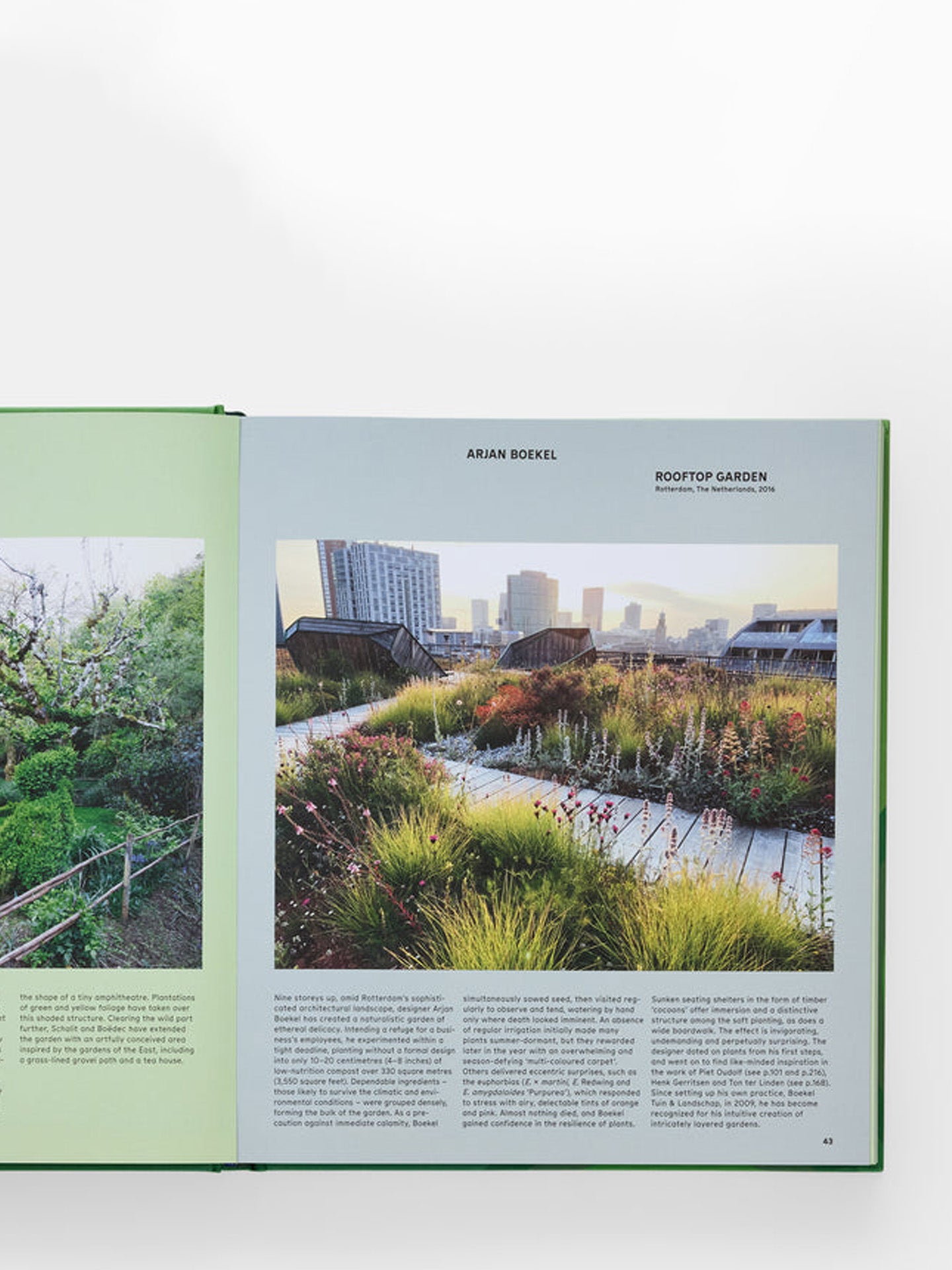 The Contemporary Garden