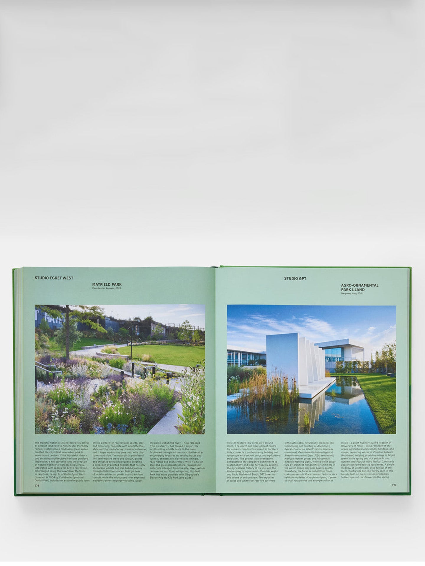 The Contemporary Garden