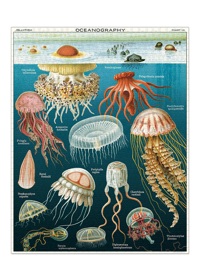 Vintage puzzle, Jellyfish (1000 pcs)