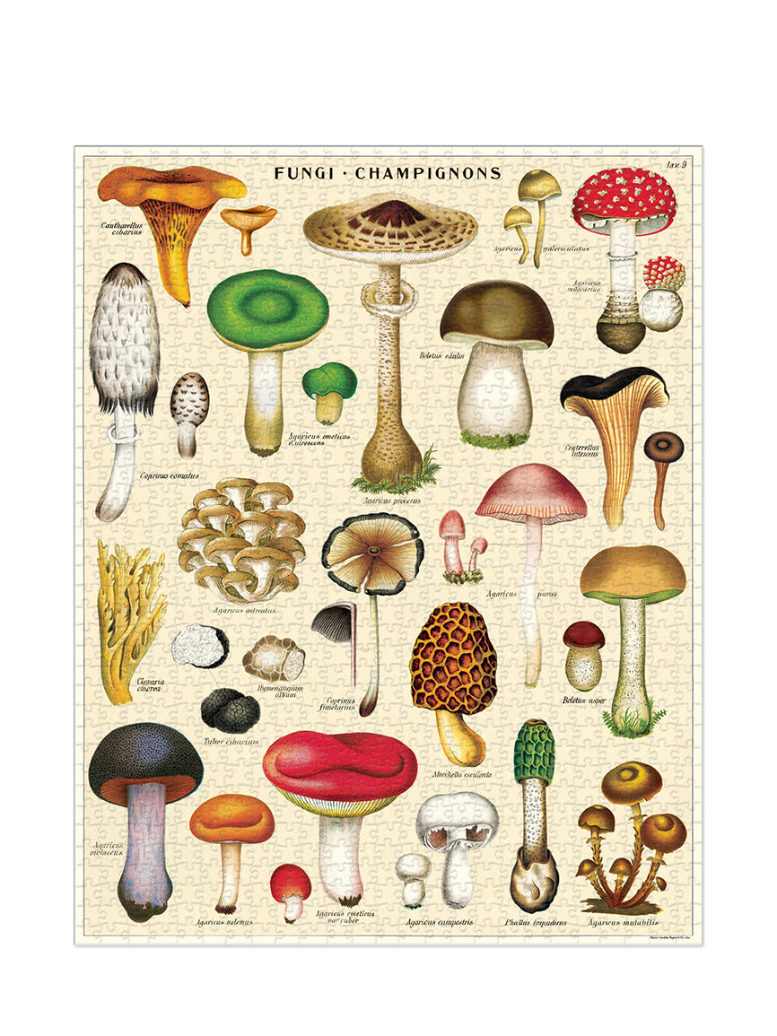 Vintage puzzle, Mushrooms (1000 pcs)