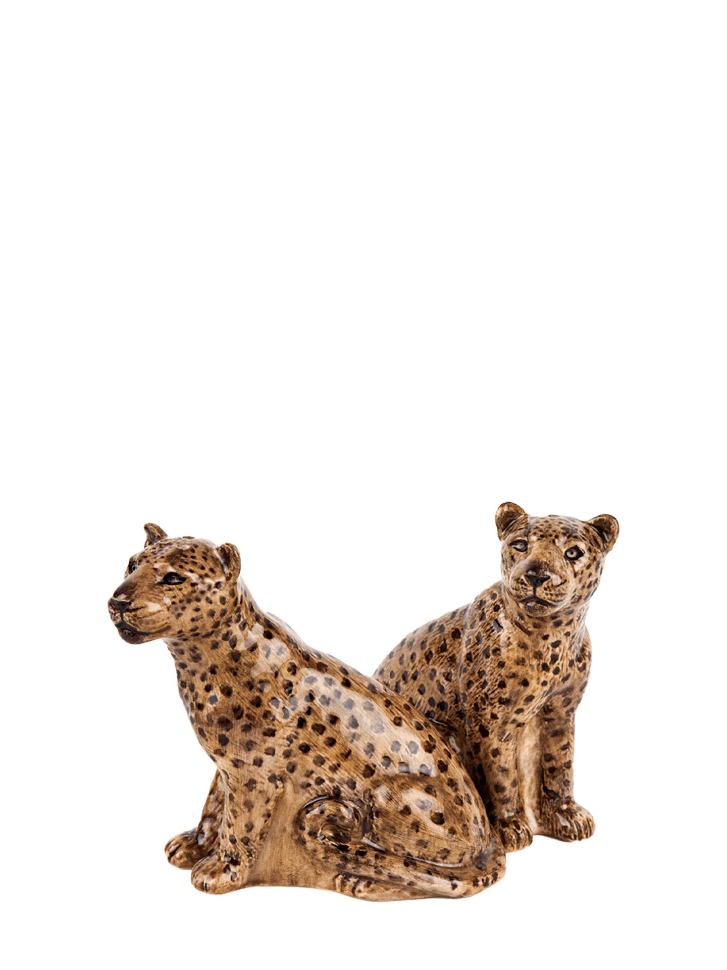 Leopard salt and pepper set