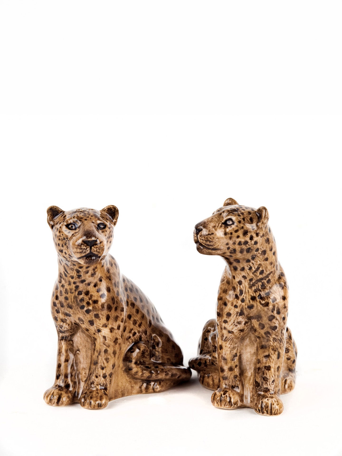 Leopard salt and pepper set