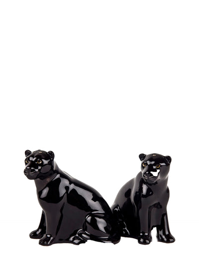 Black panther salt and pepper set