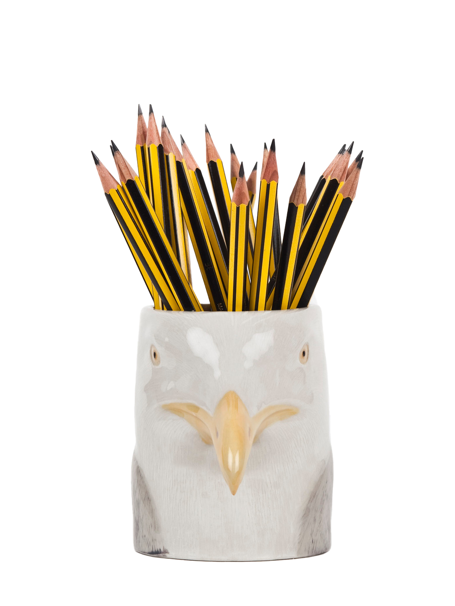 Herring Gull Pencil Pot