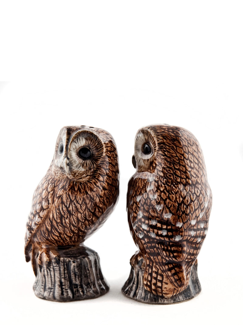 Owl salt and pepper shaker set