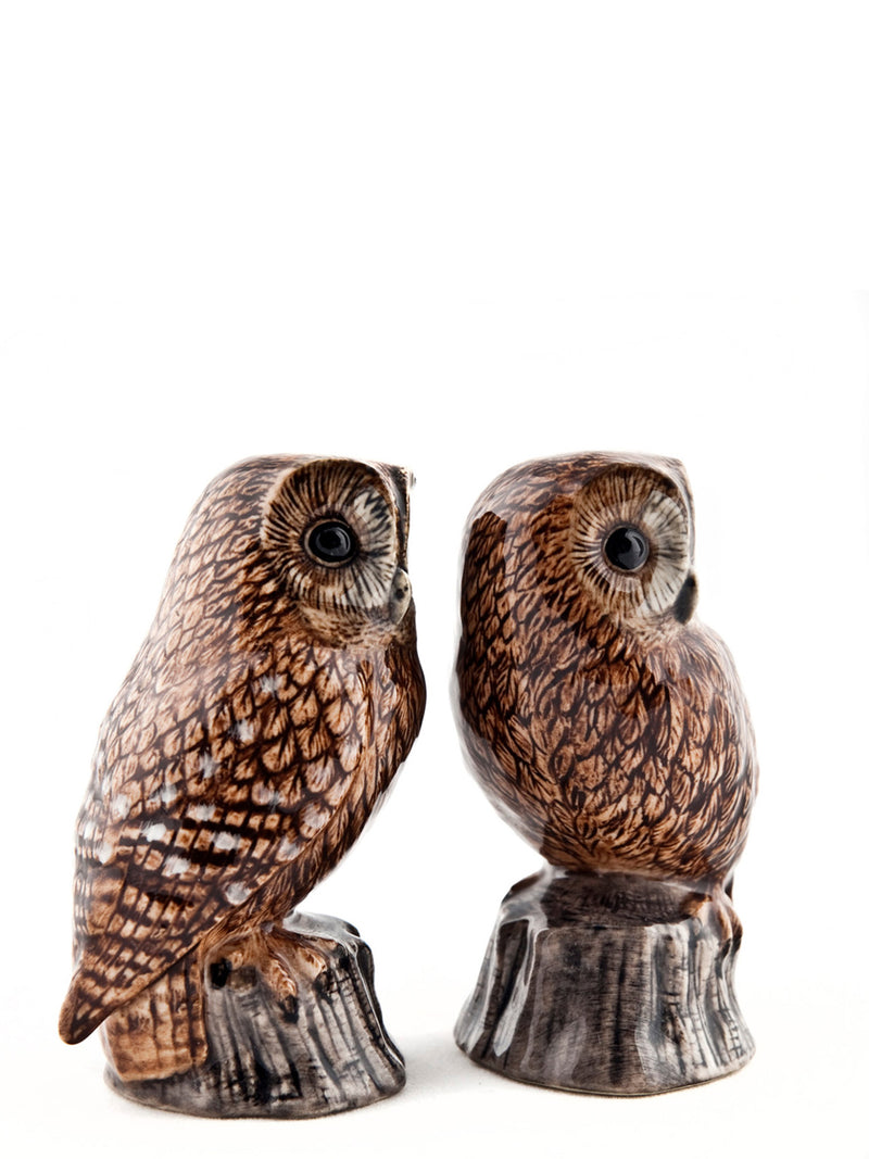 Owl salt and pepper shaker set