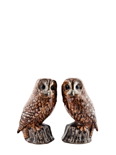Owl salt and pepper shaker set