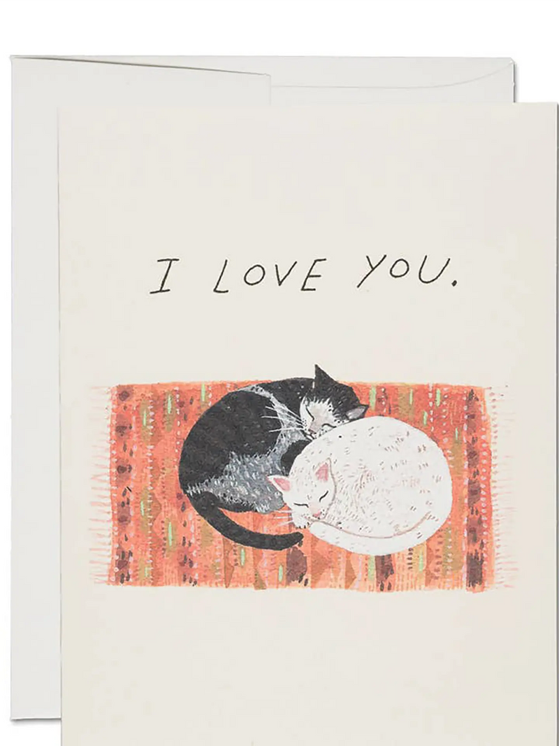 A greeting card with an off-white background featuring the text 'I LOVE YOU.' above an illustration of two sleeping cats, one black and one white, curled up on a rust-orange patterned background.
