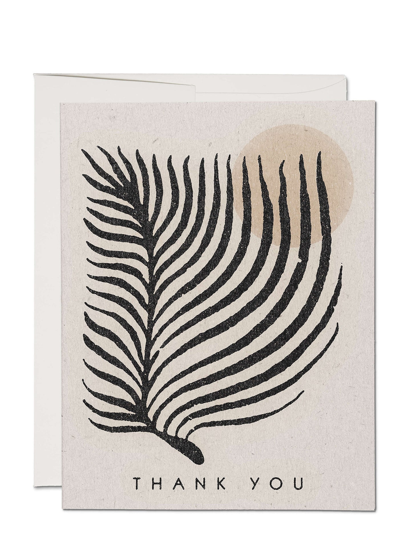 Palm Sun, thank you card