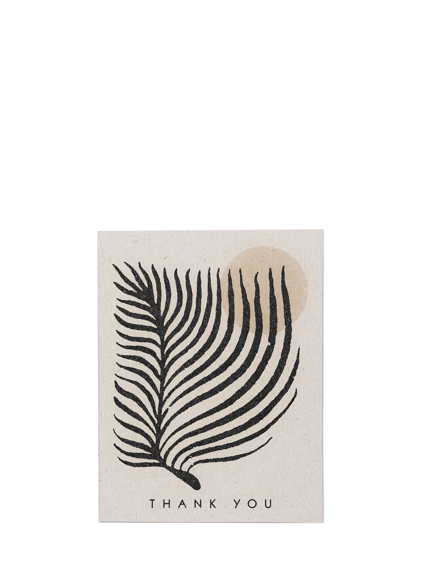 Palm Sun, thank you card