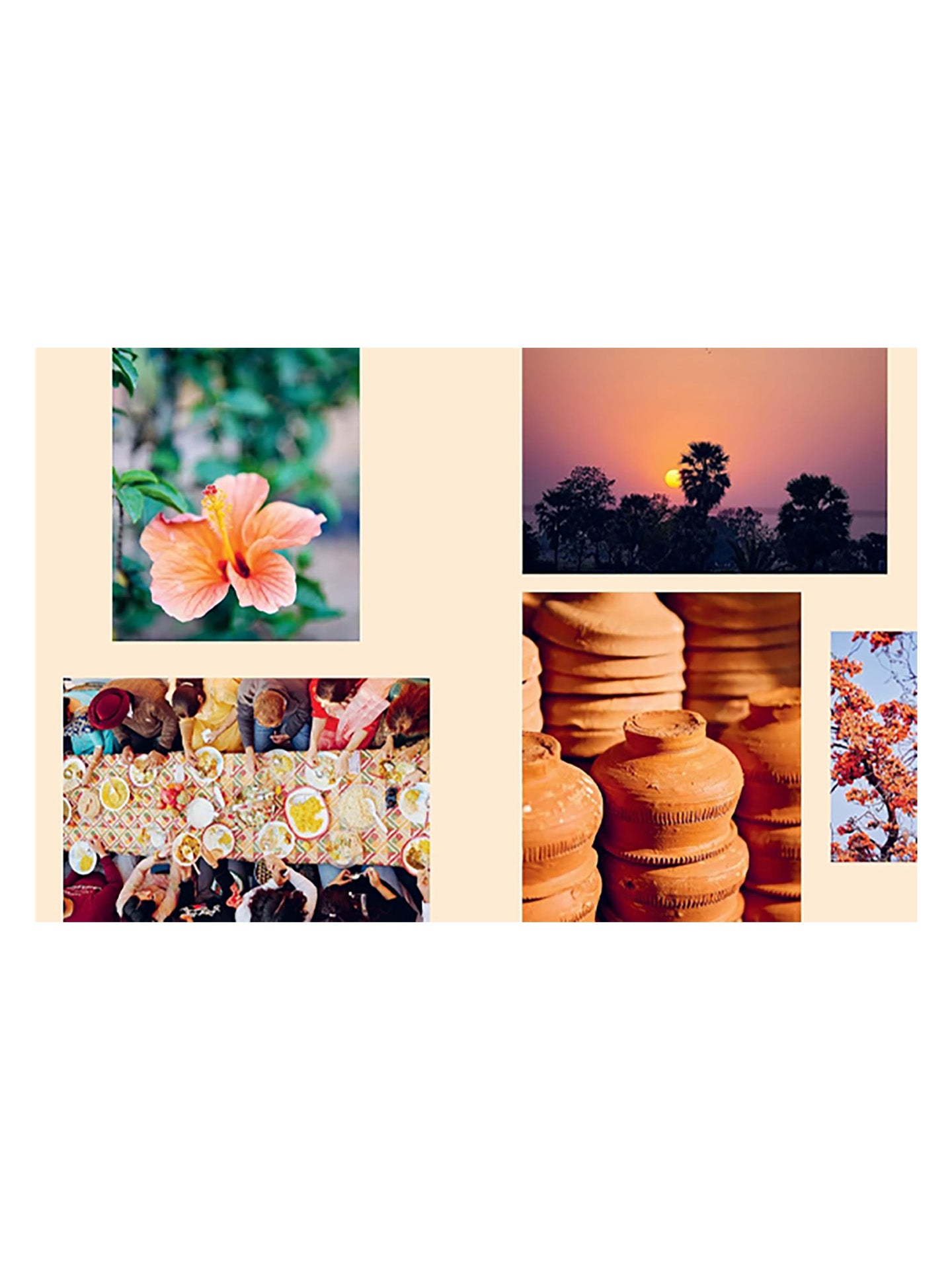 Romy Gill's India - Recipes from Home