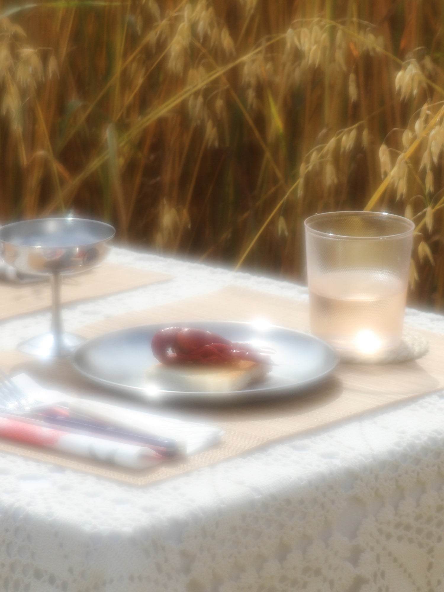 A softly blurred outdoor table setting with a white lace tablecloth, a plate holding a small red fruit and pastry, a glass cup, and a stemmed glass, with a warm field of tall grass in the background.