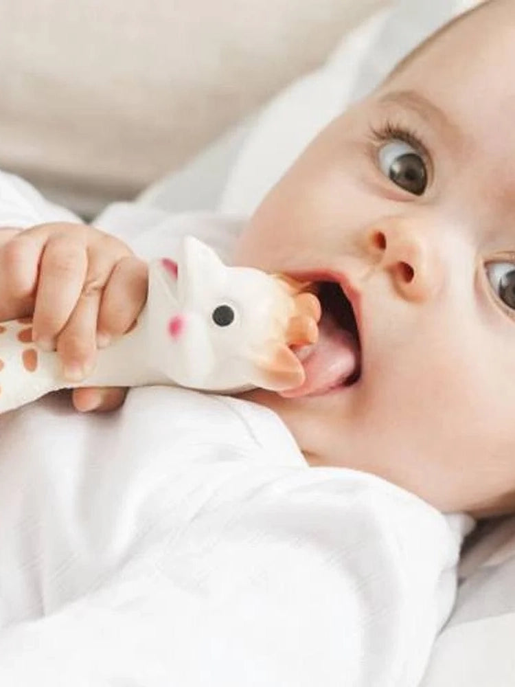 Sophie the Giraffe original teether