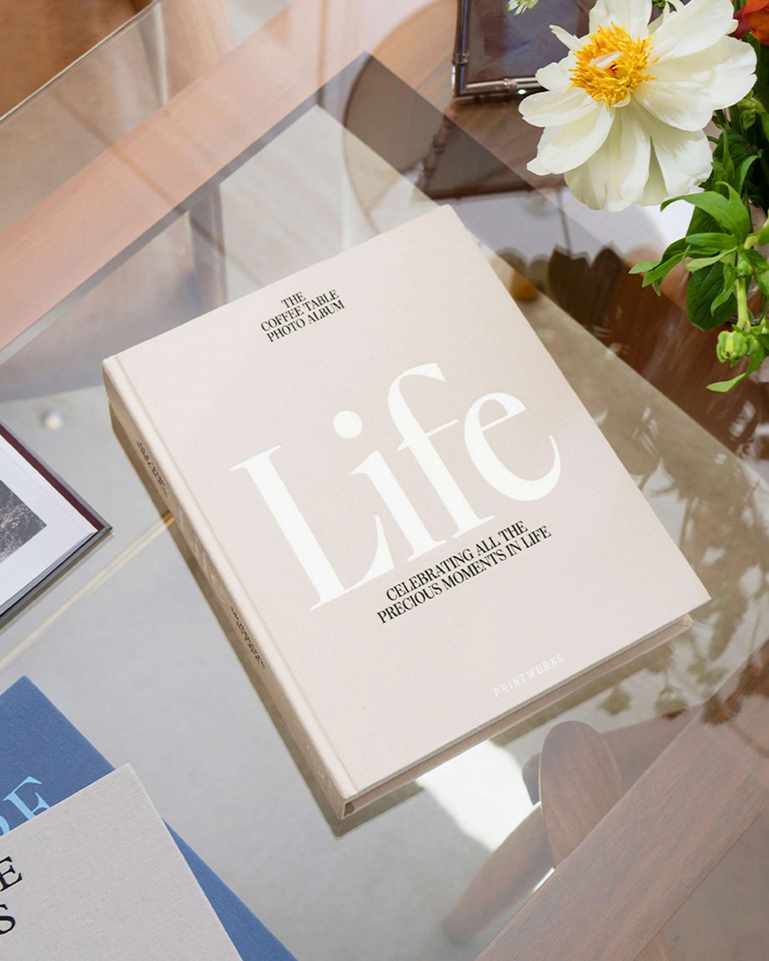 Photo album titled 'Life' on a glass surface with a flower in the background