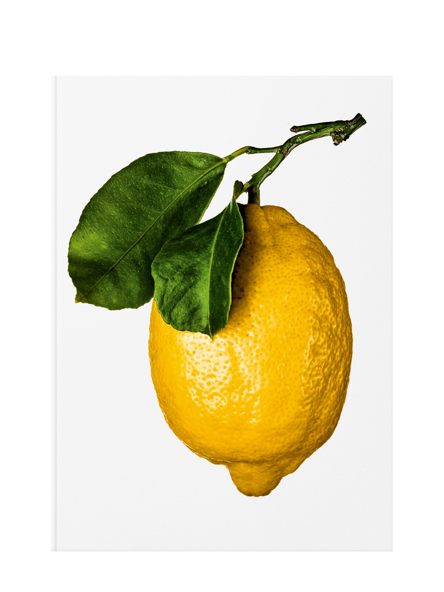 The Gourmand's Lemon – A Collection of Stories and Recipes