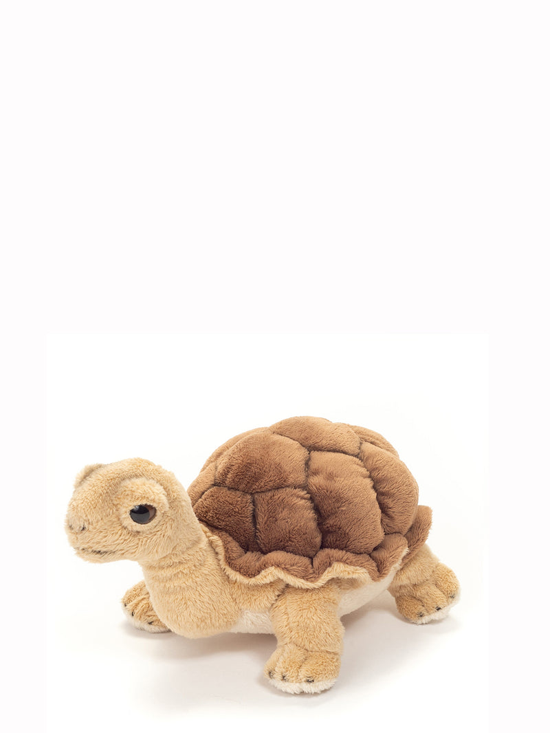 Tortoise soft toy (20cm)