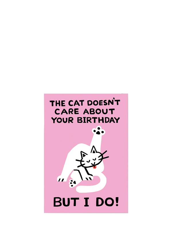 The cat doesn't care birthday card