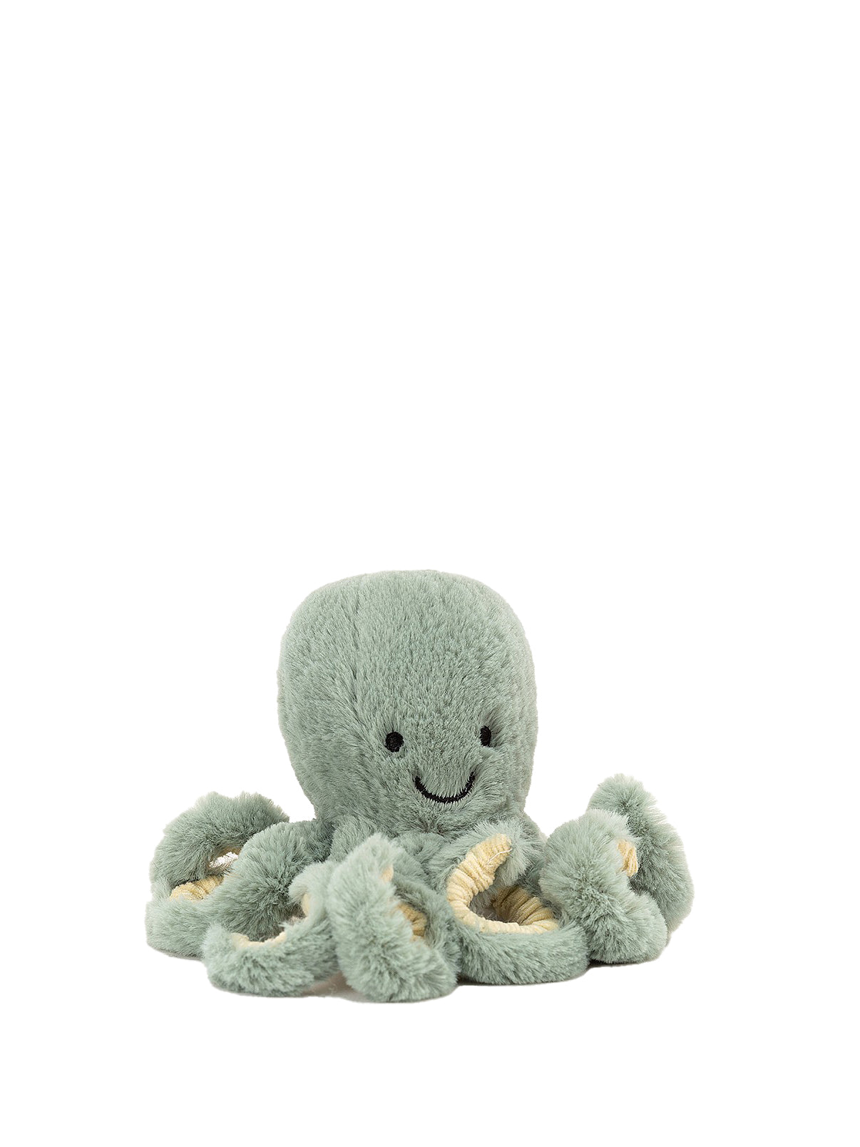 Odyssey Octopus baby