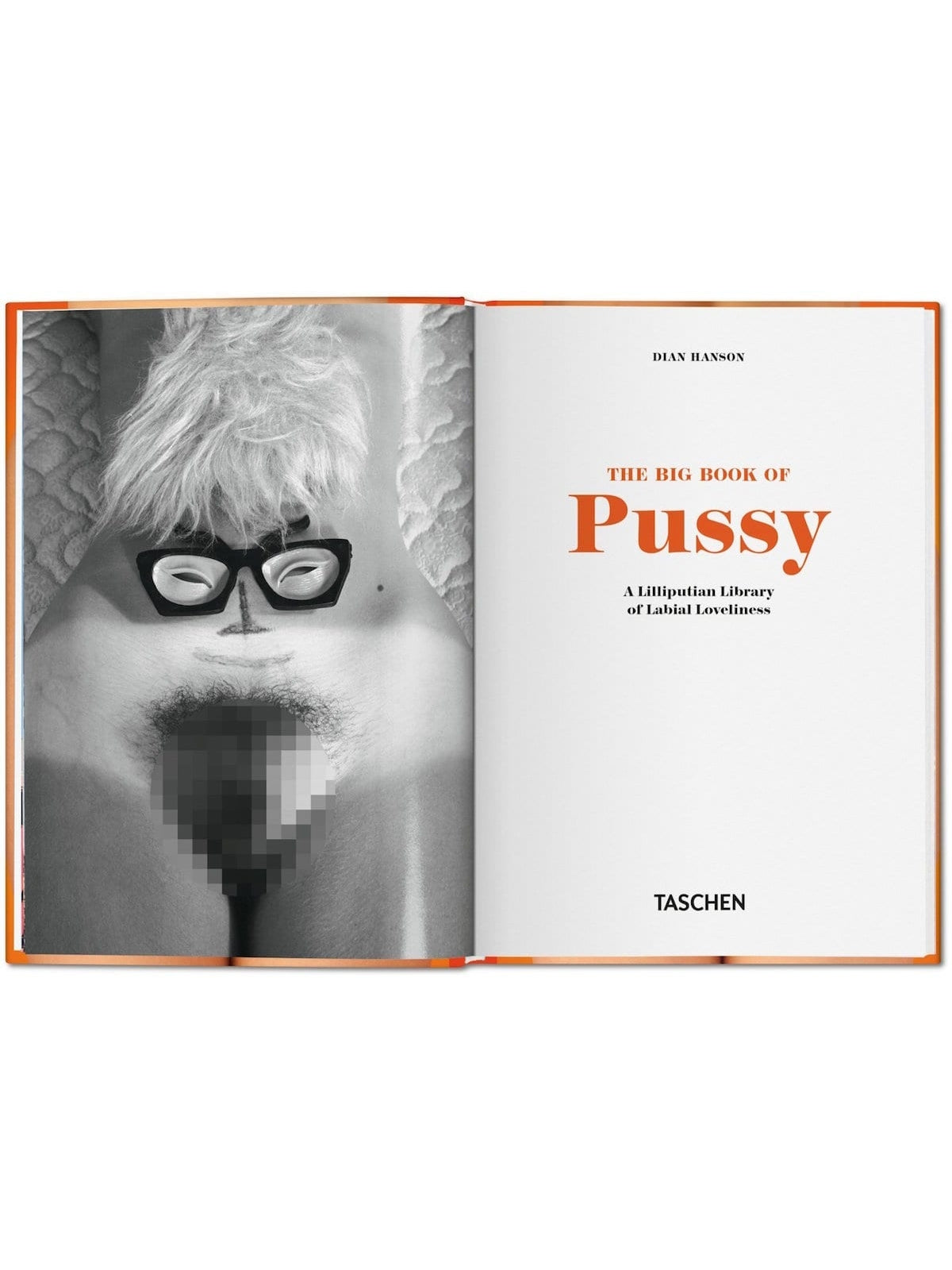 Little book of pussy