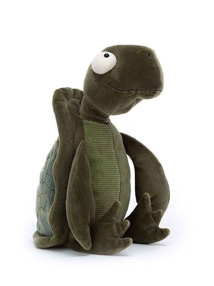 Tommy Turtle
