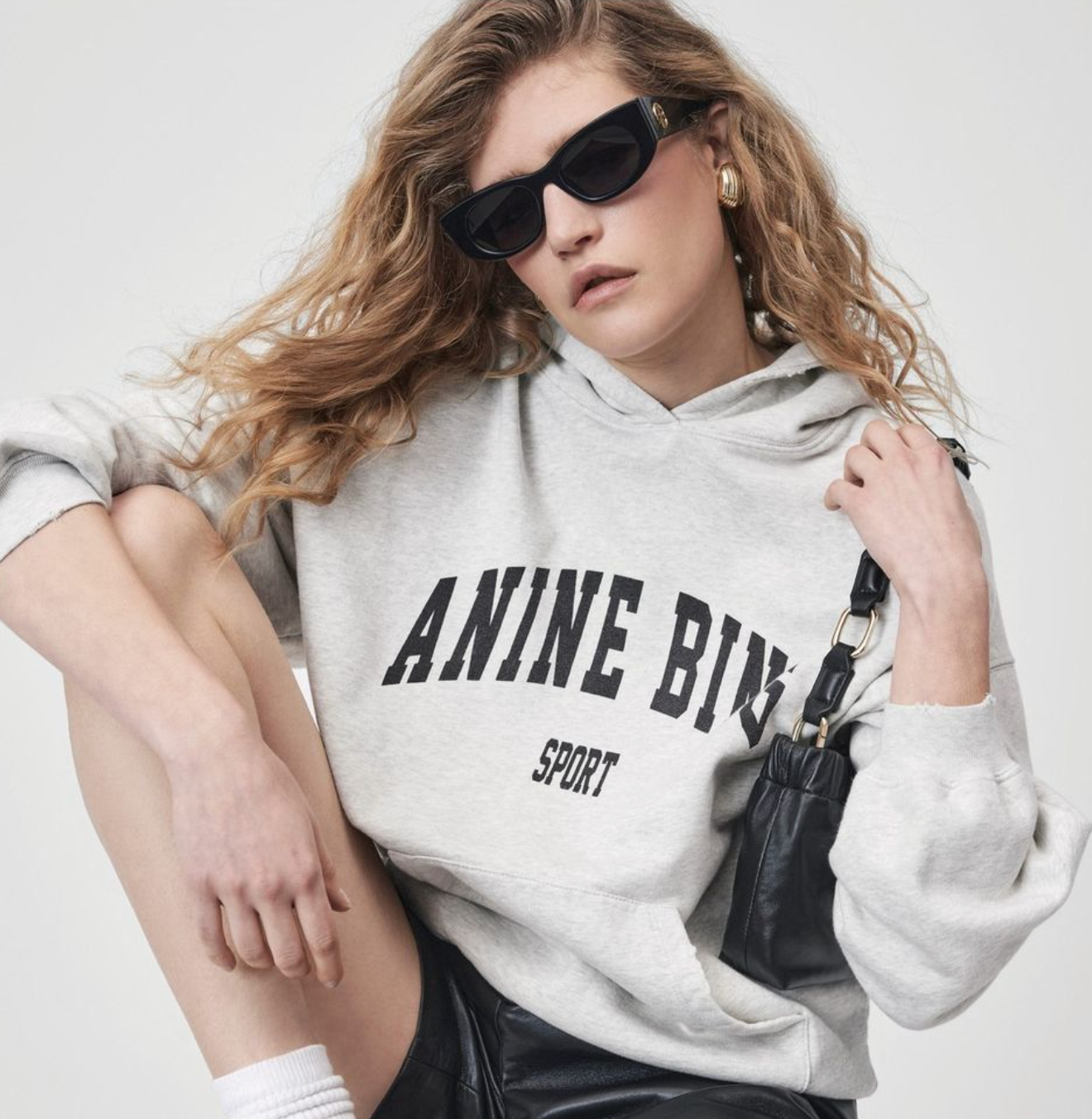 Anine Bing