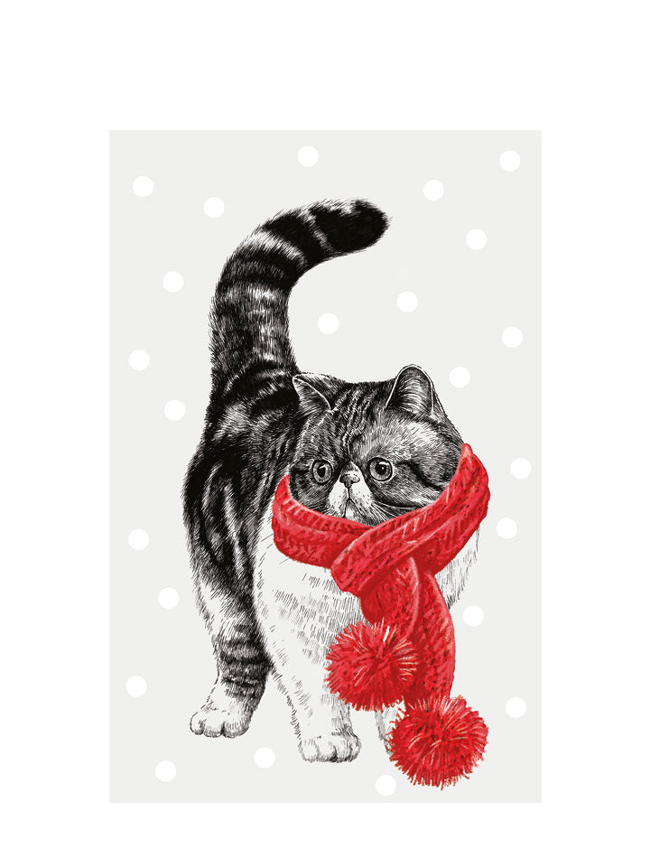 'Christmas cat w. red scarf' greeting card