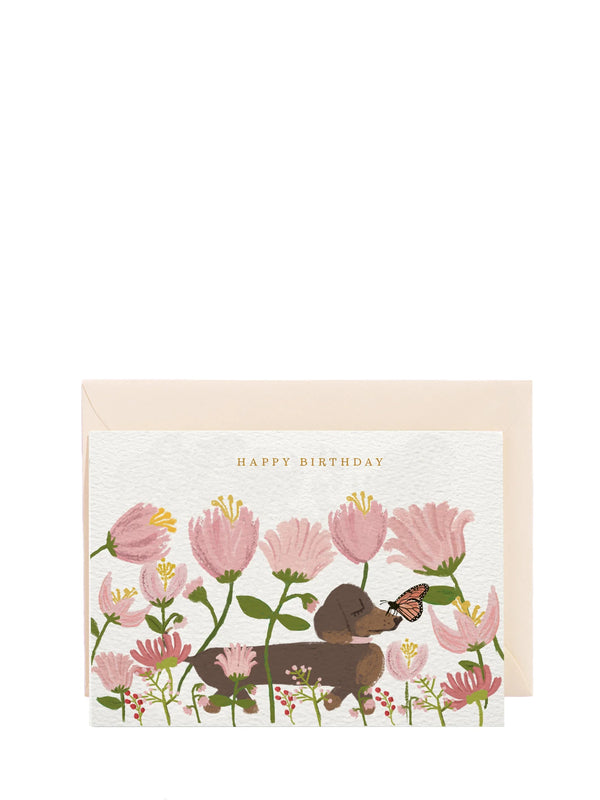 Happy Birthday Dachshund, birthday card
