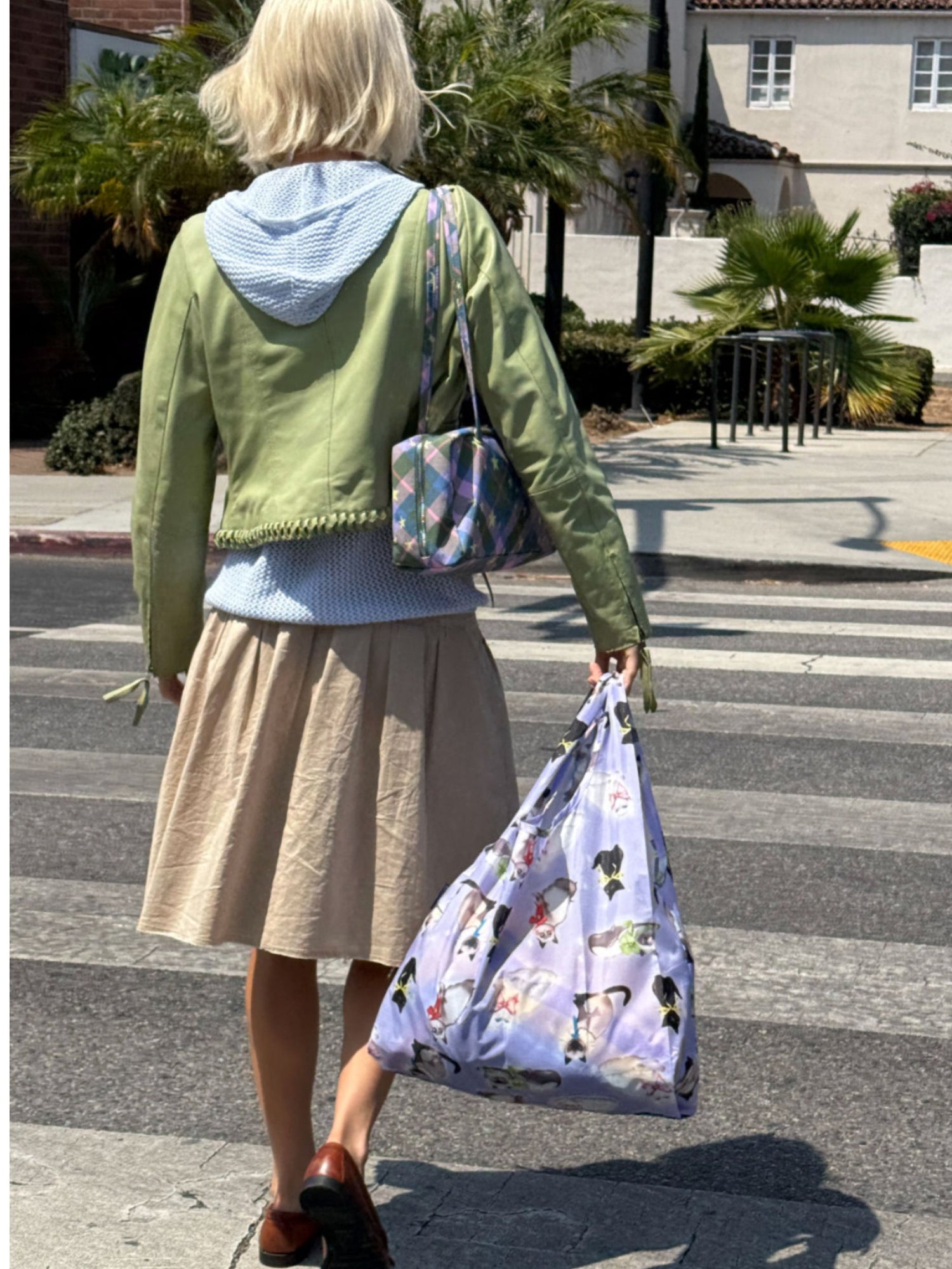 Standard Baggu, Fancy Cats