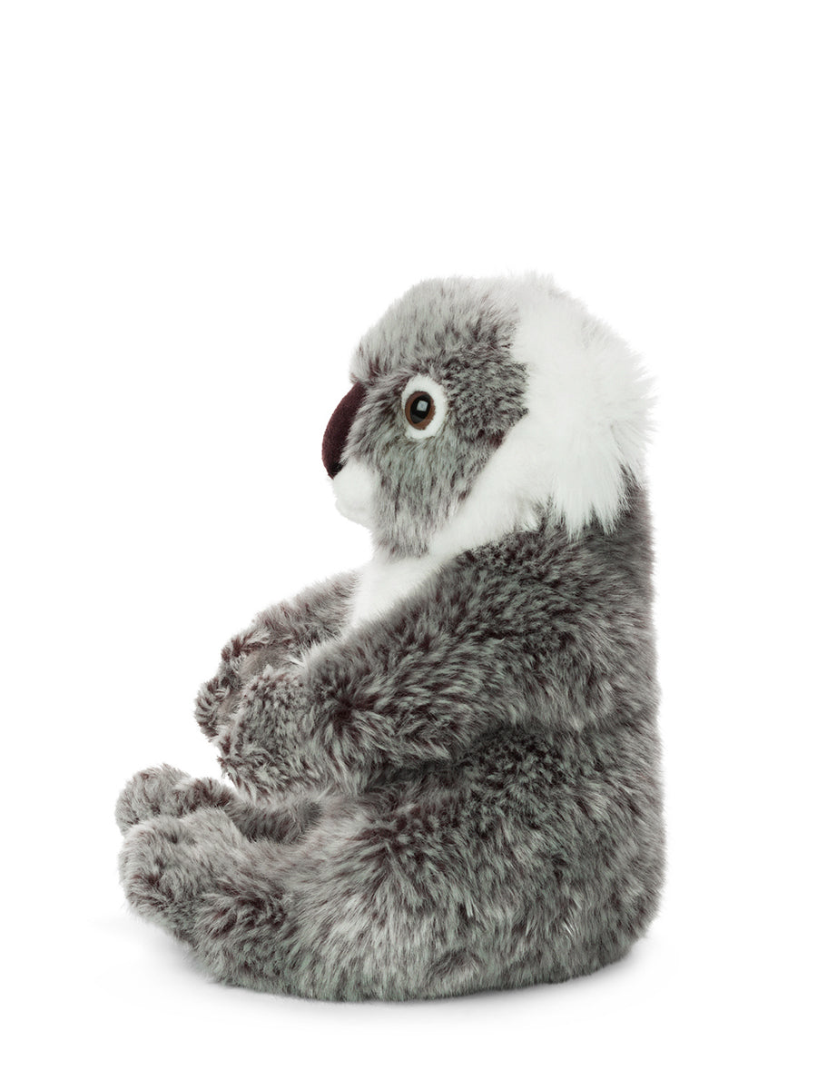WWF Koala soft toy (22 cm)