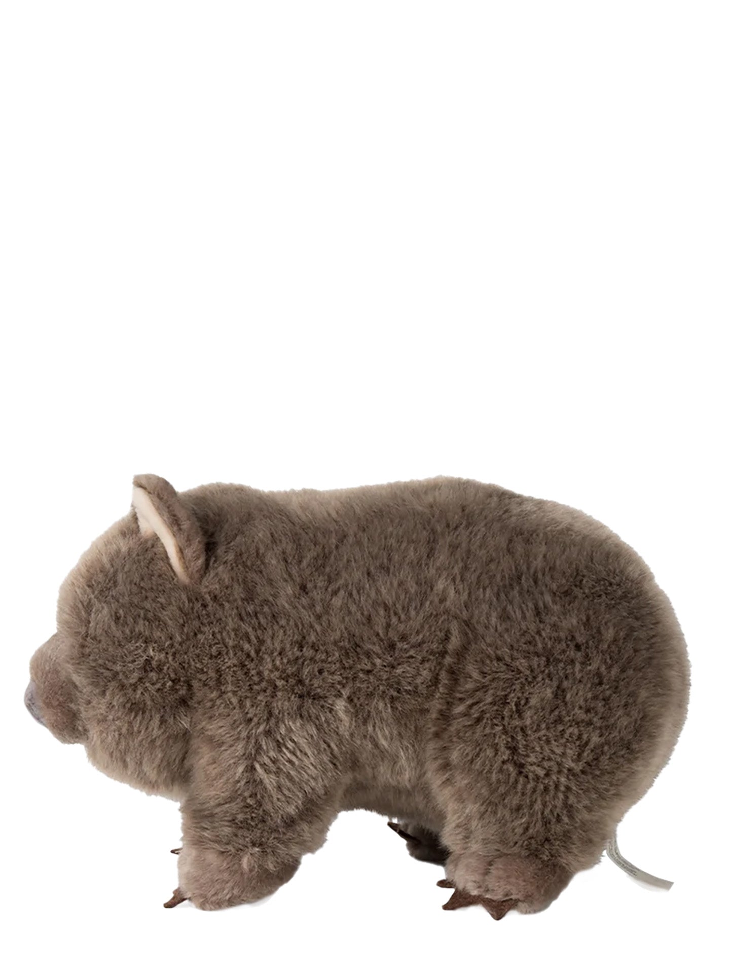 WWF Wombat soft toy (28 cm)