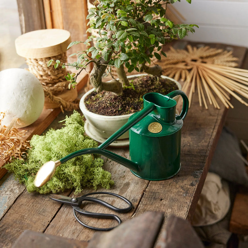 Rowley ripple watering can, green (1 L)
