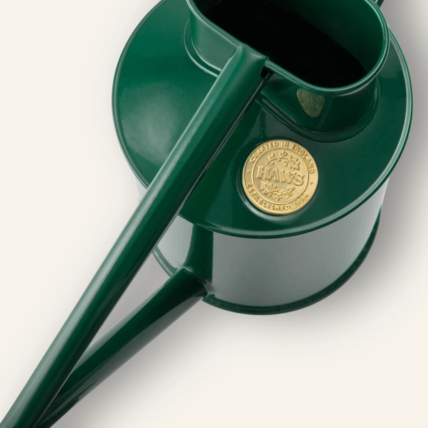 Rowley ripple watering can, green (1 L)