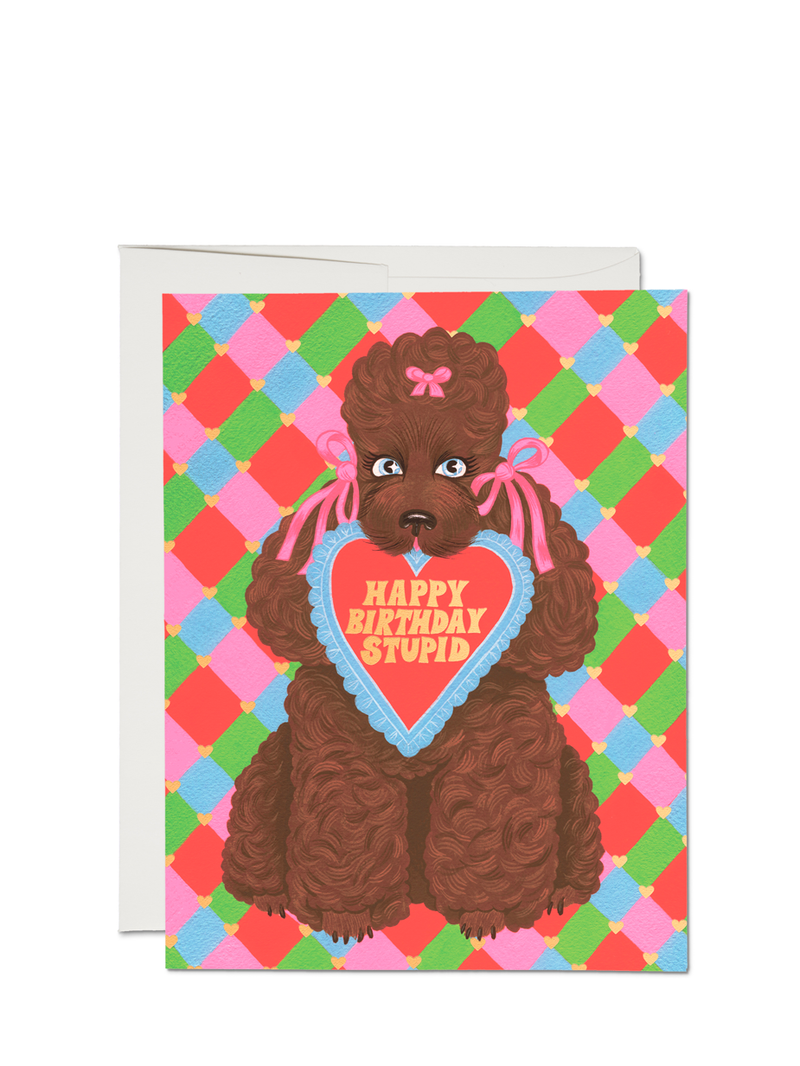 A birthday card with an illustration of a poodle holding a sign that reads 'HAPPY BIRTHDAY STUPID', with a colorful checkered background.
