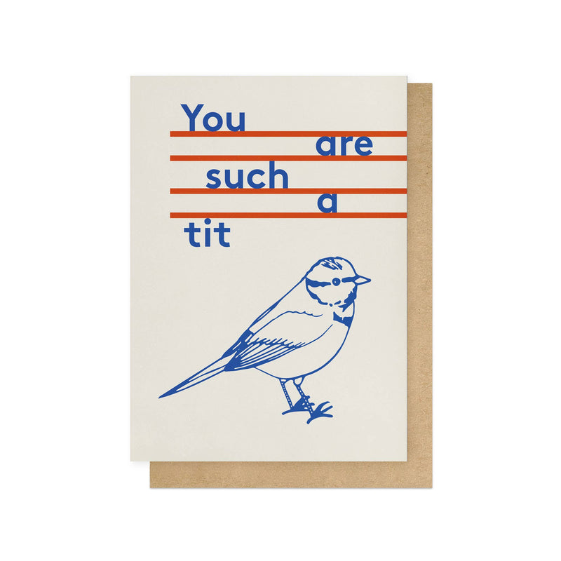You are such a tit large love & friendship card
