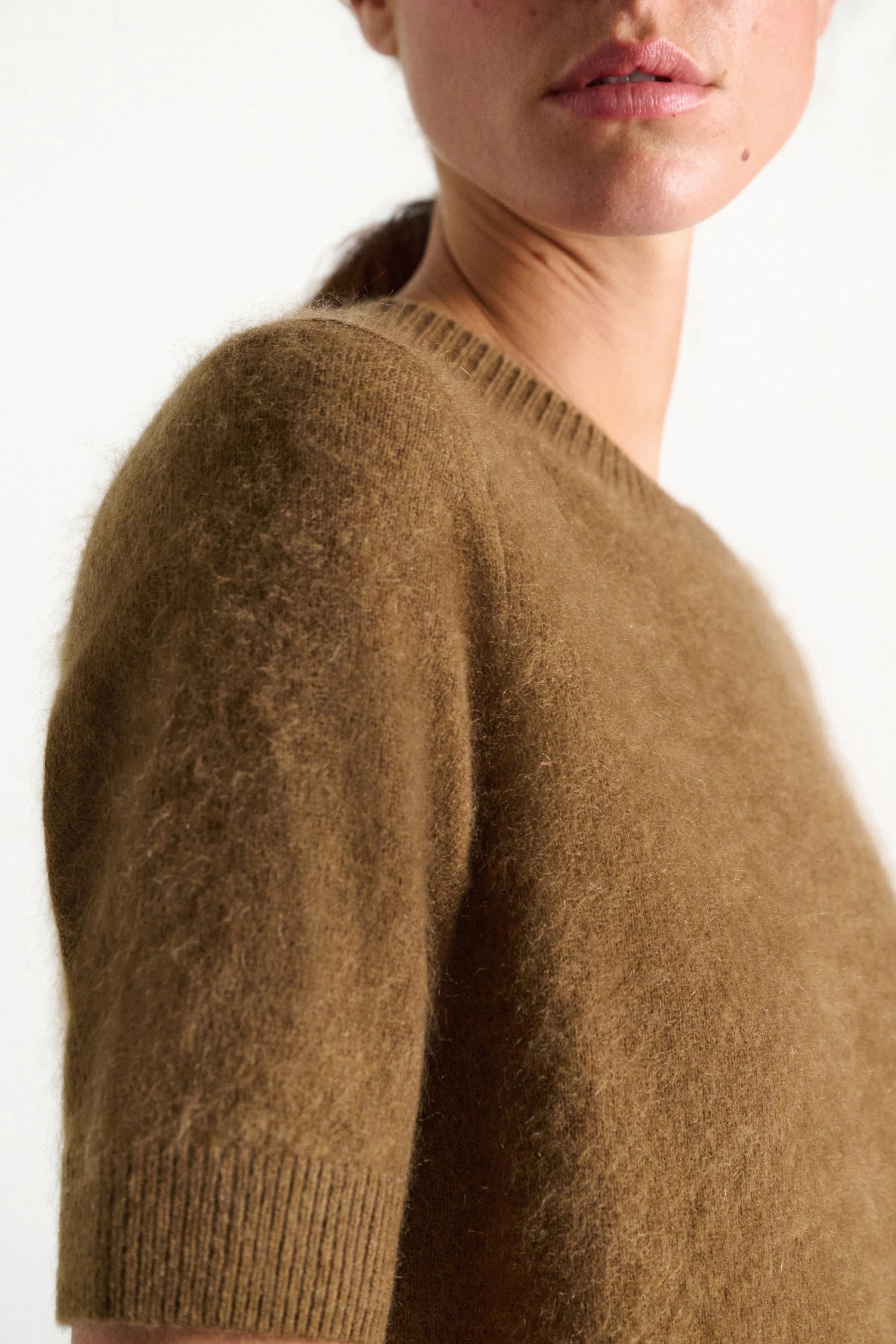 Fluffy statements short sleeve pullover, brown