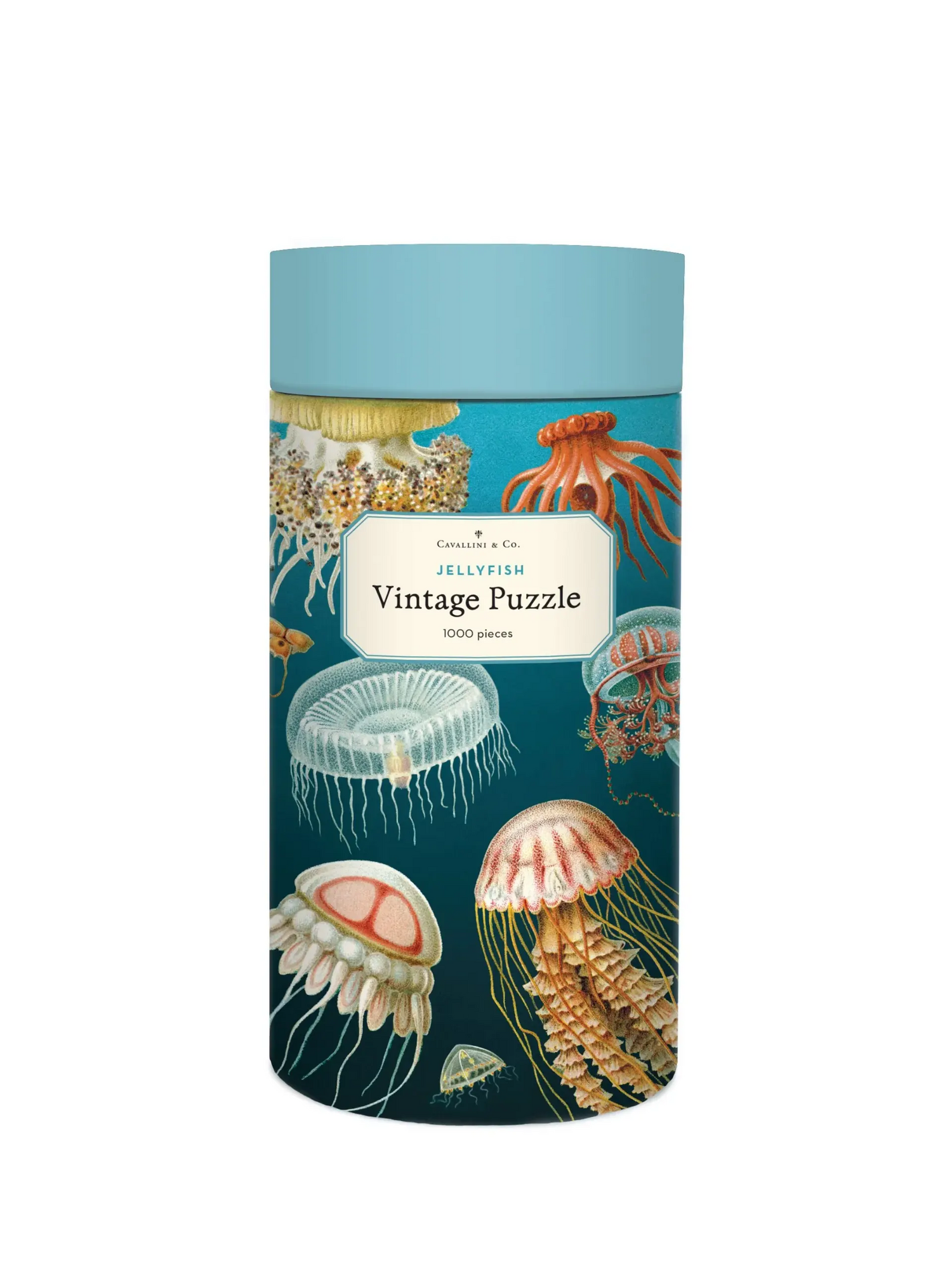 Vintage puzzle Jellyfish
