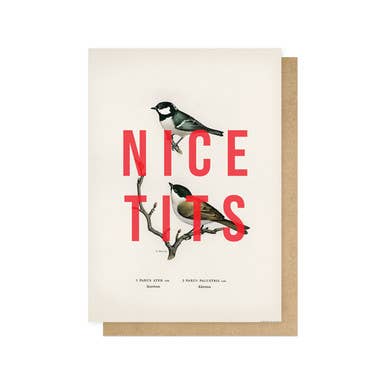 Nice tits, large love & friendship card