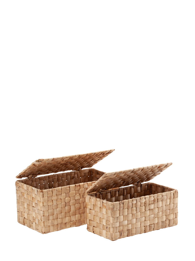 Lily panama box with lid, 2 sizes