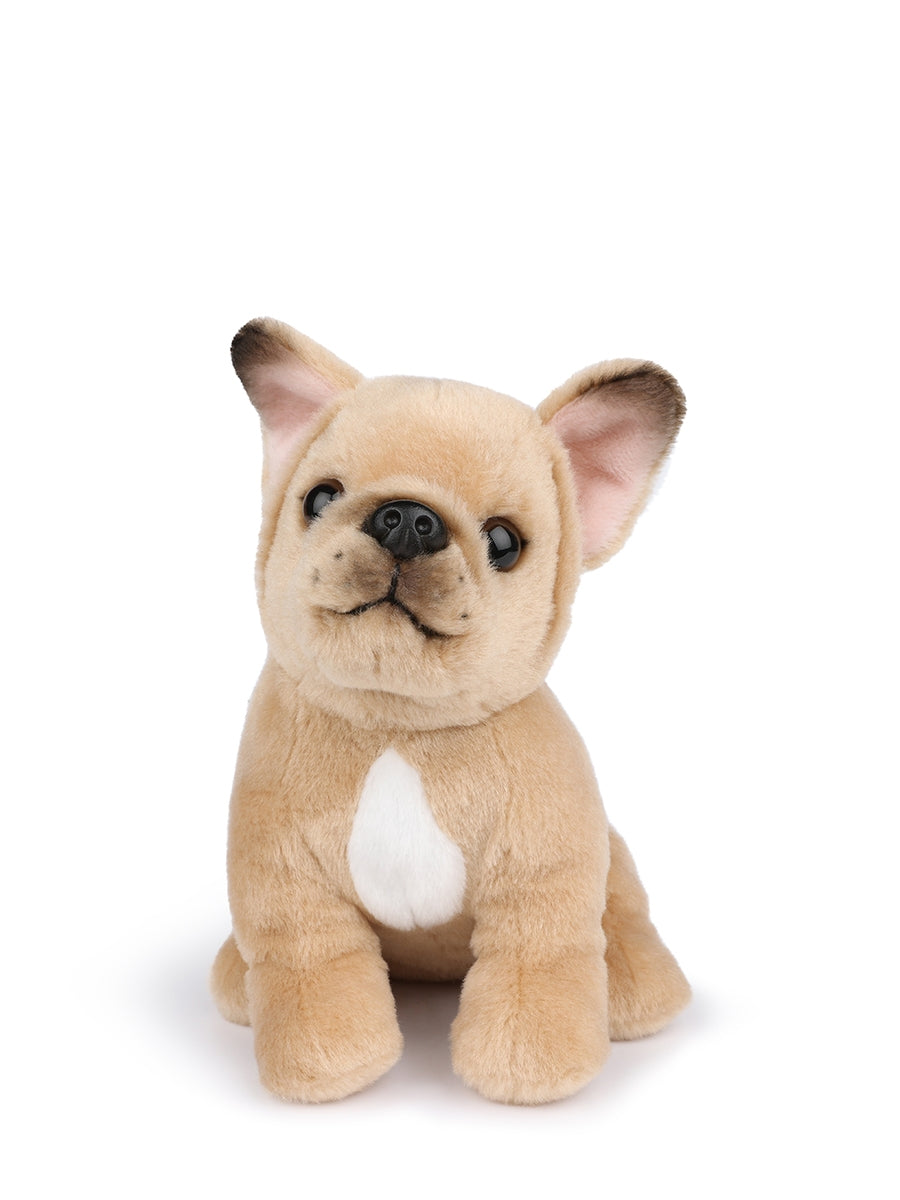 Philippe the french bulldog soft toy (17 cm)