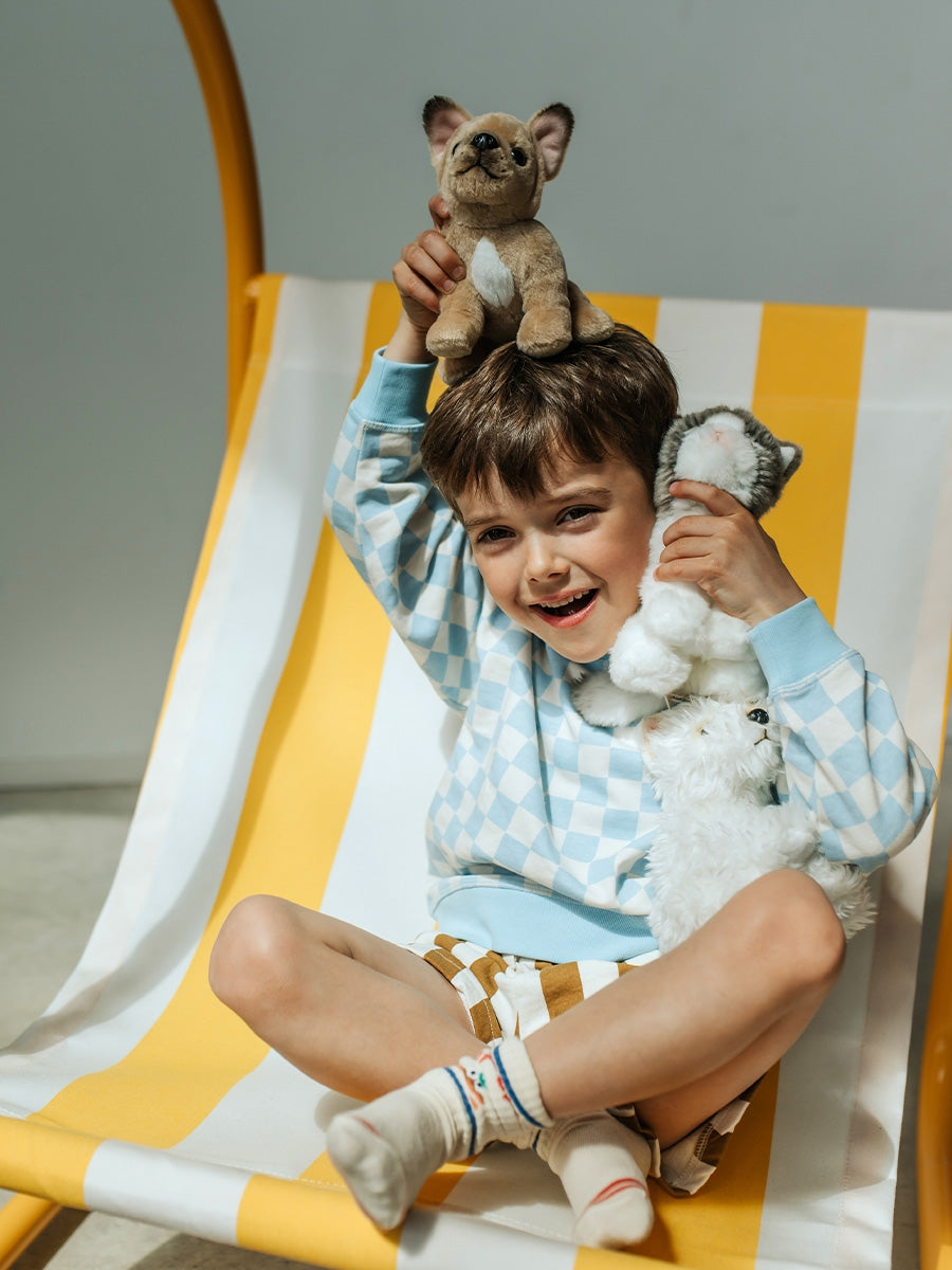 Philippe the french bulldog soft toy (17 cm)