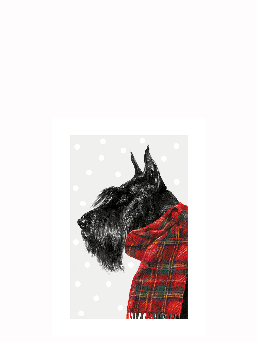 Christmas Schnauzer Christmas card