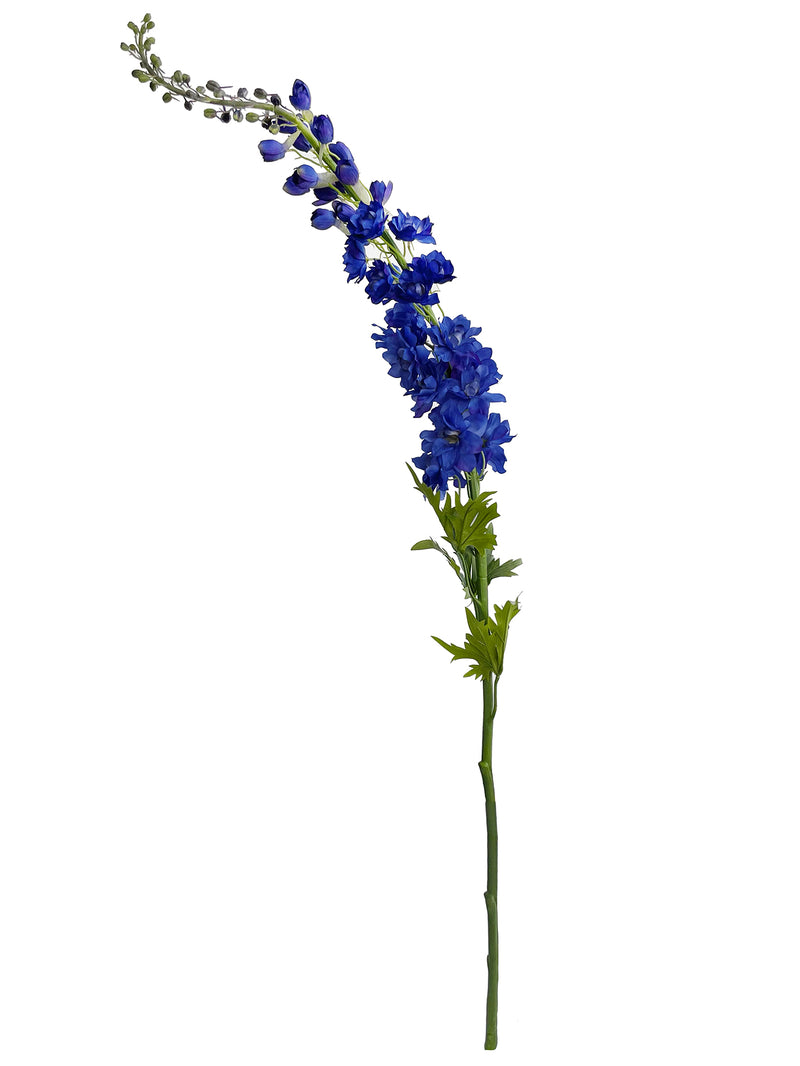 Delphinium, blue