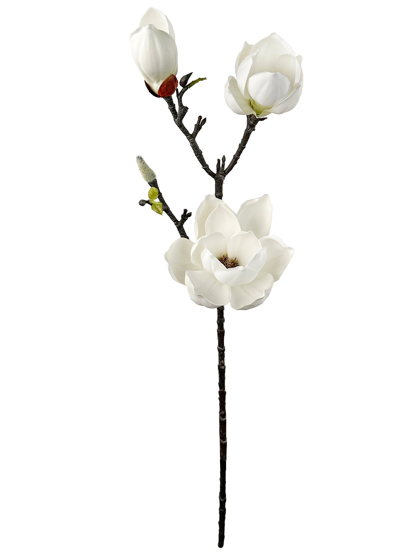 Magnolia branch, white (75cm)