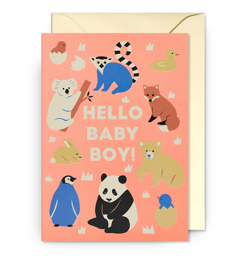 Hello Baby Boy! Pink Animals New Baby Card by Naomi Wilkinson