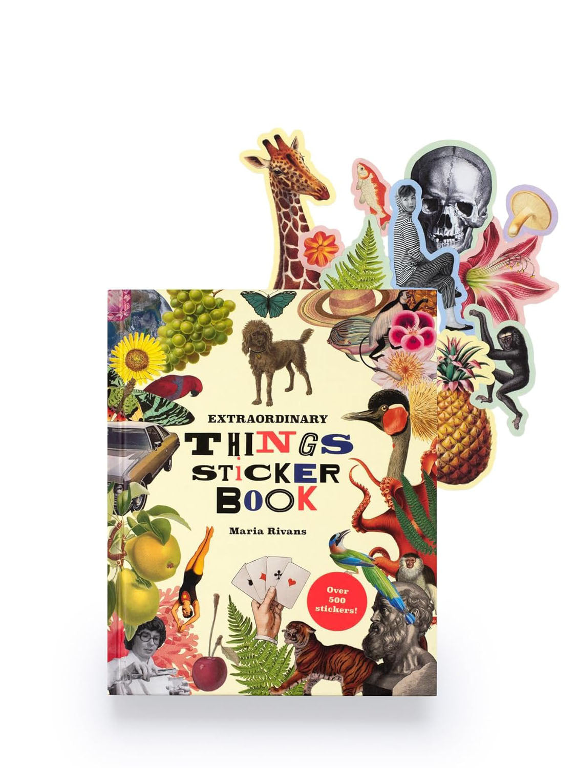 Extraordinary Things Sticker Book