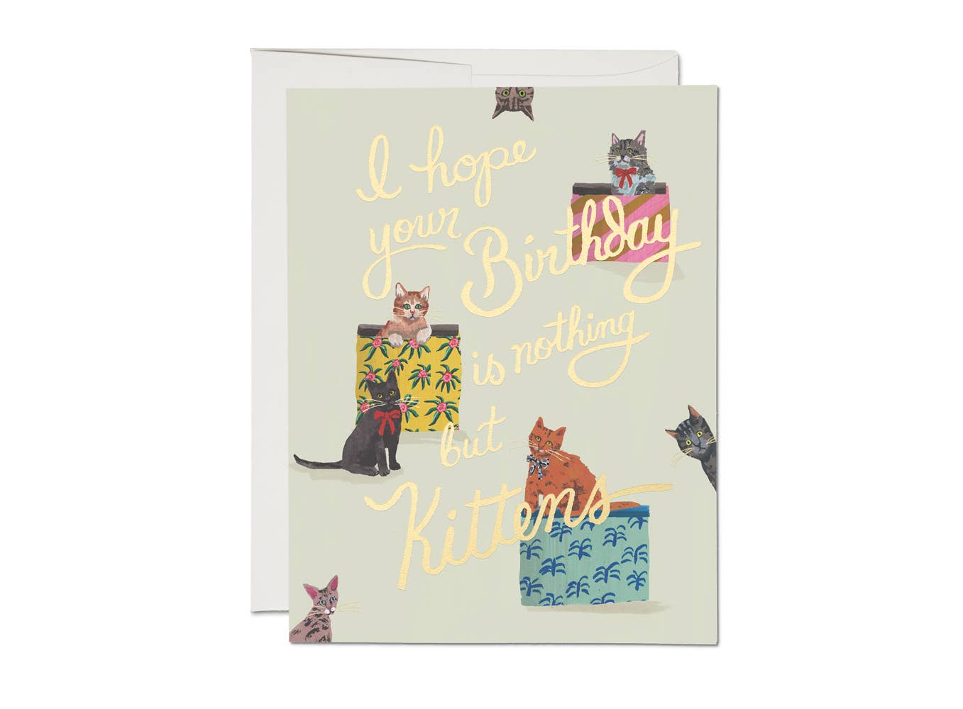 Nothing But Kittens birthday card