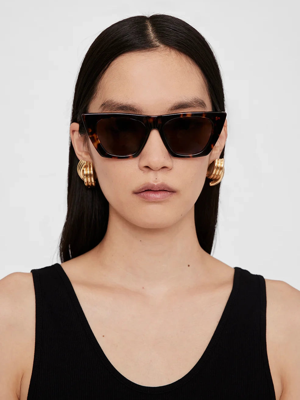 Paris sunglasses, dark tortoise