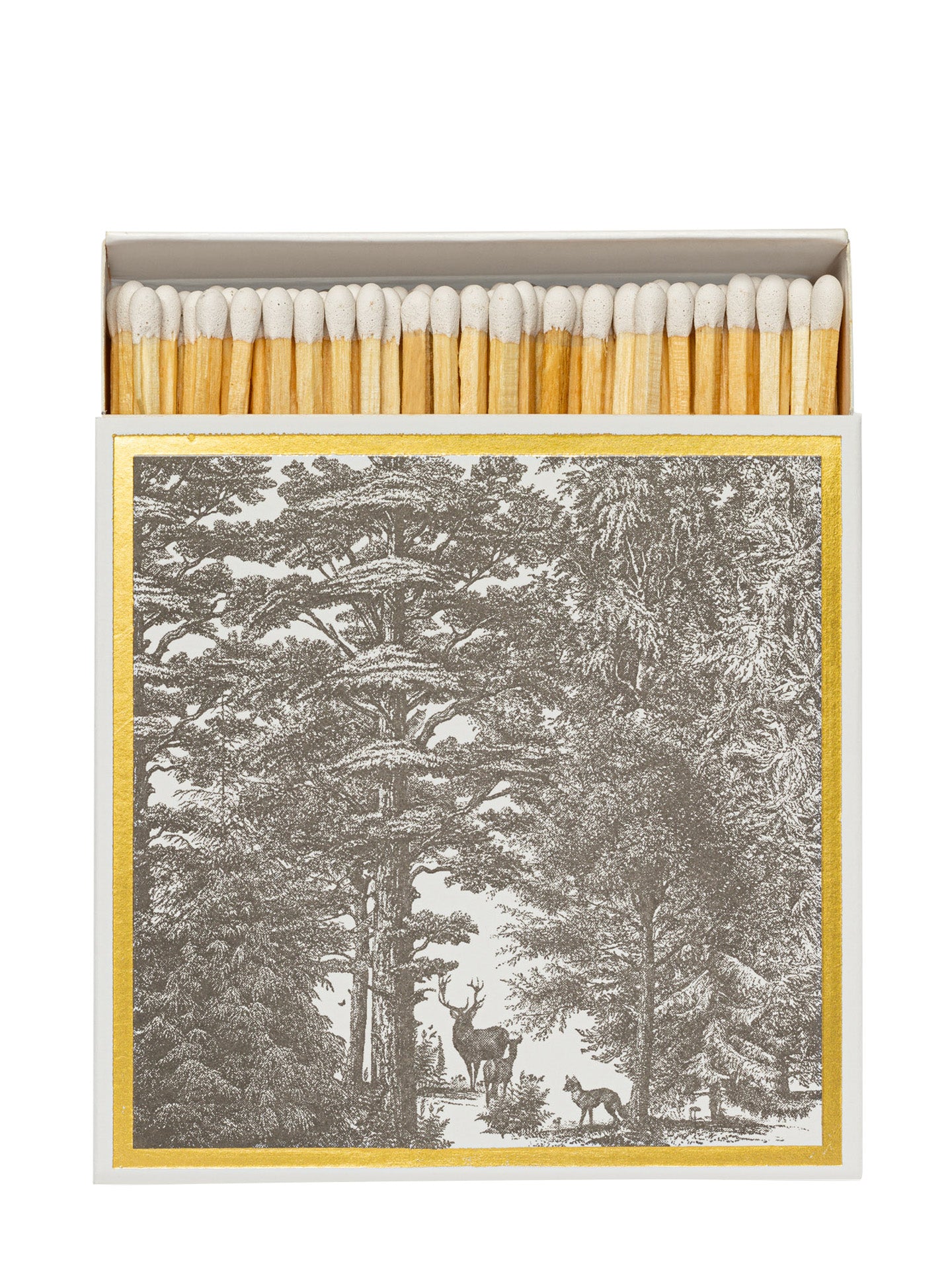 Enchanted Forest matches
